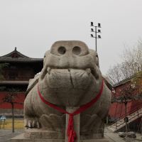 評論圖片 5