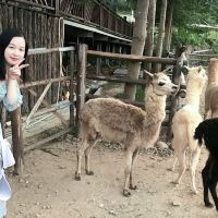 評論圖片 9