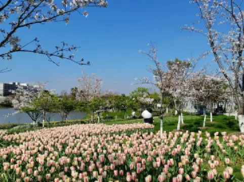 寧波の春旅におすすめ・トップ20