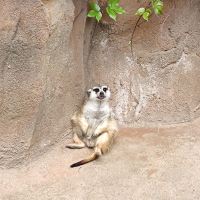 評論圖片 7