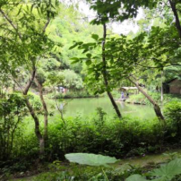 評論圖片 3