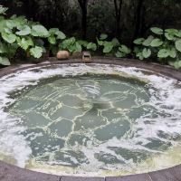 評論圖片 5