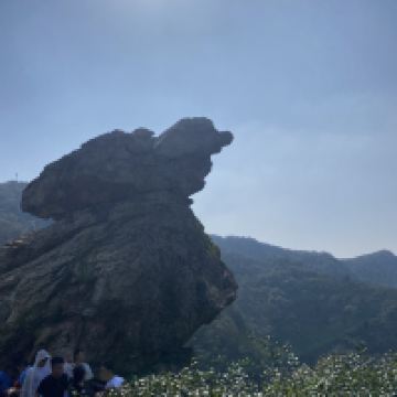 評論圖片 2