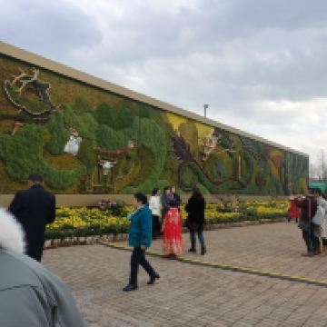 評論圖片 9