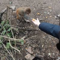 評論圖片 4