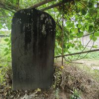 評論圖片 6