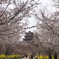 評論圖片 3
