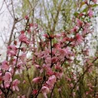 評論圖片 4