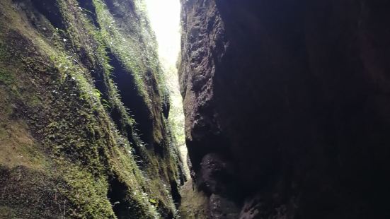 上清溪、九龍潭和狀元岩在一個點坐景交車，狀元岩的遊人非常少，