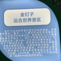 評論圖片 2