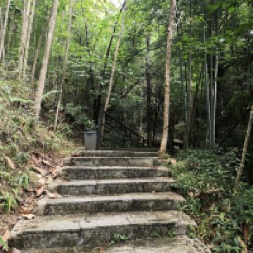 評論圖片 1