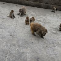 評論圖片 9