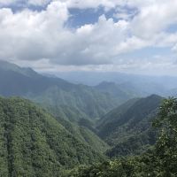 評論圖片 1