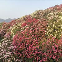 評論圖片 9