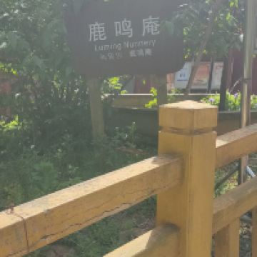 評論圖片 4