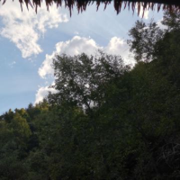 評論圖片 3