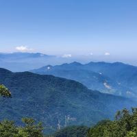 評論圖片 7