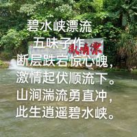 評論圖片 4