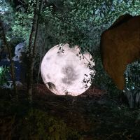 評論圖片 3