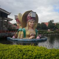 評論圖片 7