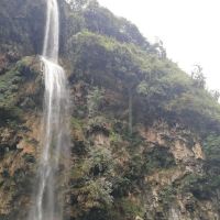 評論圖片 2