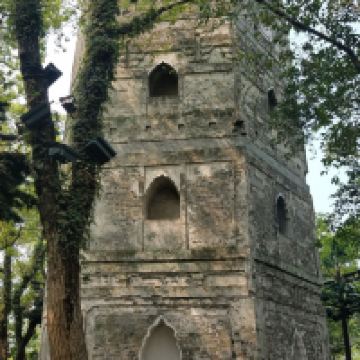 評論圖片 6