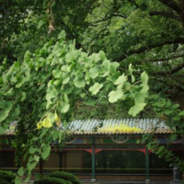 評論圖片 6