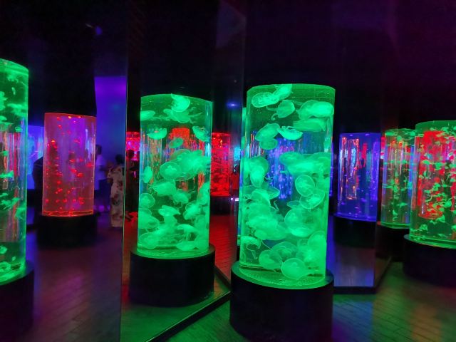 Beihai Undersea World