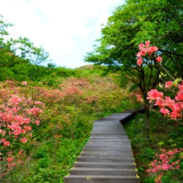 評論圖片 3