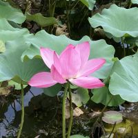 評論圖片 7