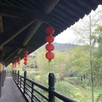 評論圖片 3