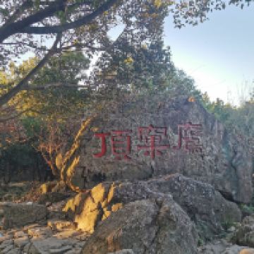 評論圖片 6