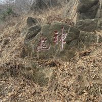 評論圖片 9