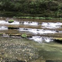 評論圖片 1