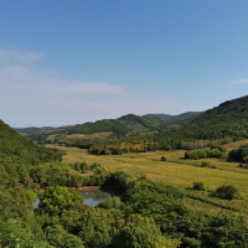 評論圖片 5