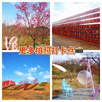 評論圖片 6