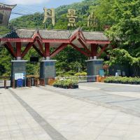 評論圖片 1