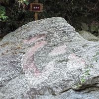 評論圖片 2