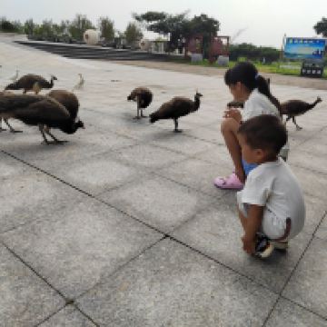 評論圖片 3