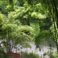 評論圖片 3