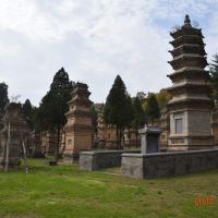 評論圖片 6