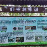 評論圖片 9