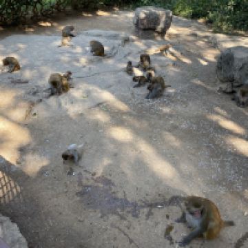 評論圖片 9