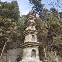 評論圖片 5