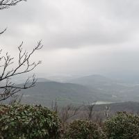 評論圖片 1