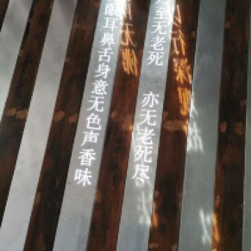 評論圖片 2