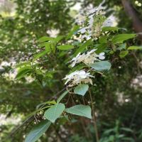 評論圖片 8