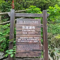 評論圖片 5