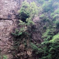評論圖片 5