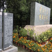 評論圖片 7
